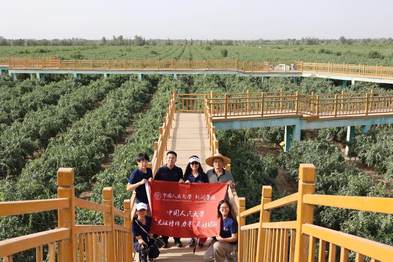 在沙漠，把荒芜种成希望 | 先锋社会实践·“见证榜样力量”