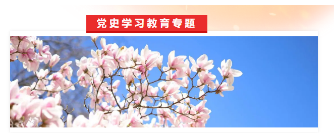654aff46501b46df9bde6423159cff1d.png 1.png