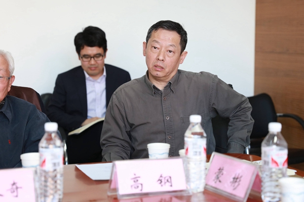 高钢教授发言